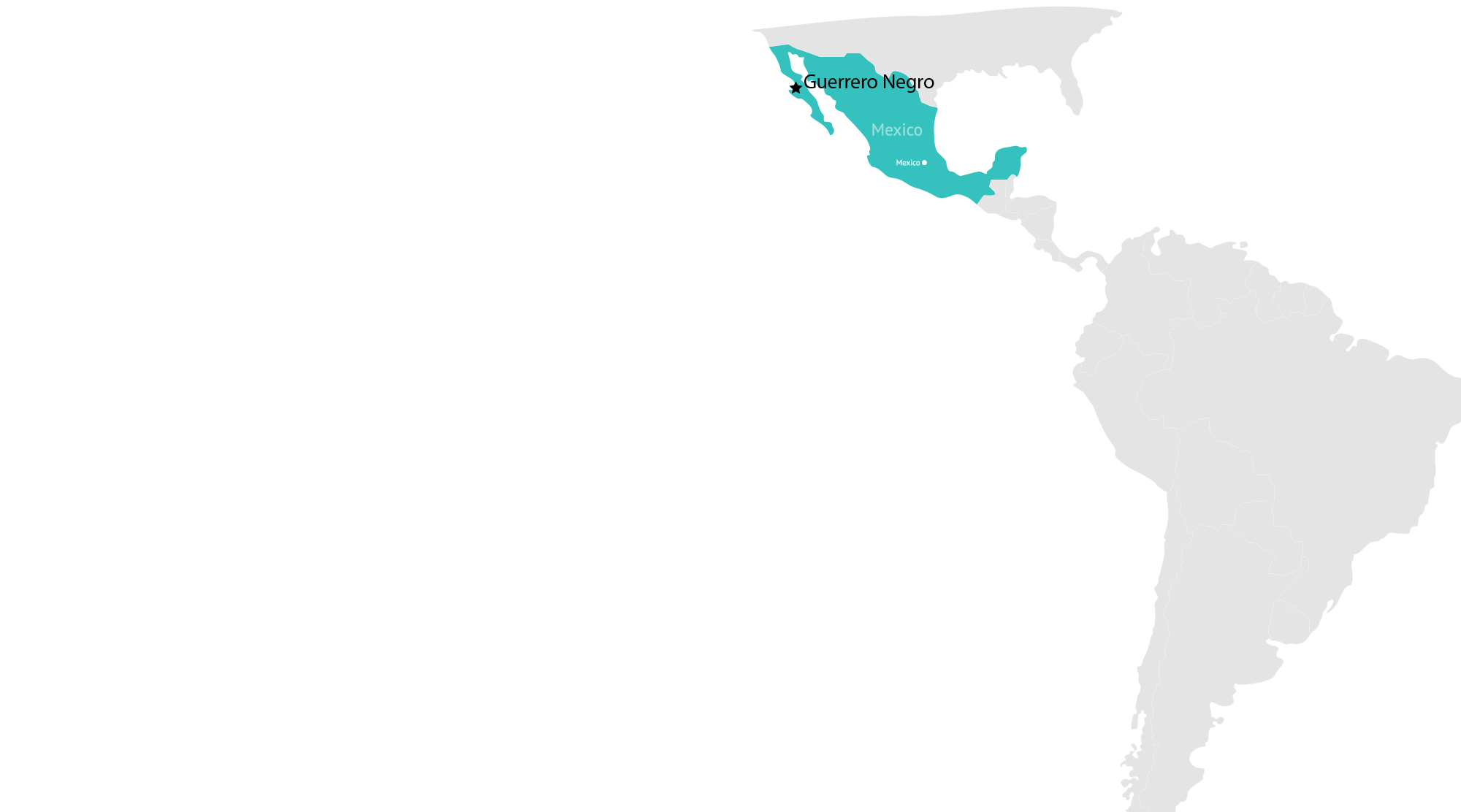 guerrero negro